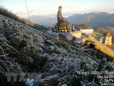 [Photo] Hình ảnh sương muối trắng xóa Sa Pa khi Lào Cai xuống 0 độ C