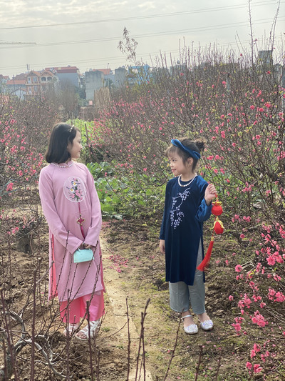 Những em bé xinh xắn trong tà áo dài bên sắc hoa đào Nhật Tân