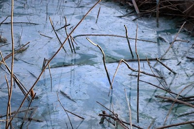 Xác định nguyên nhân gây ô nhiễm tại lòng hồ Ya Ly ở Sa Thầy