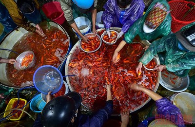 Chợ cá Yên Sở ngập sắc đỏ, tấp nập bán xuyên đêm ngày Tết ông Công ông Táo