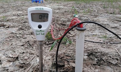 Tiến sĩ chế tạo cảm biến đo ô nhiễm trong đất nông nghiệp