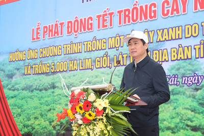 Quảng Ninh: Chủ tịch UBND tỉnh Nguyễn Tường Văn phát động Tết trồng cây