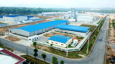 Đà Nẵng: Hỗ trợ doanh nghiệp 50% tiền thuê mặt bằng sản xuất trong Khu công nghiệp