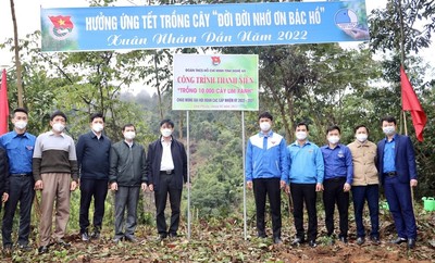 Tỉnh đoàn Nghệ An trồng hơn 10.000 cây lim xanh tại Quế Phong
