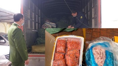 Hà Nội: Phát hiện 4,9 tấn nầm lợn, trứng non, sủi cảo không rõ nguồn gốc
