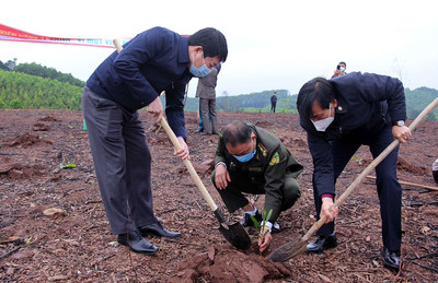 Tỉnh Hòa Bình phấn đấu trồng 2,2 triệu cây xanh