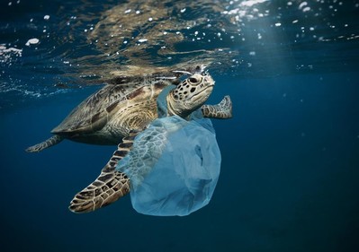 Bắt đầu từ ngày 13/2, Chile sẽ cấm đồ nhựa sử dụng một lần