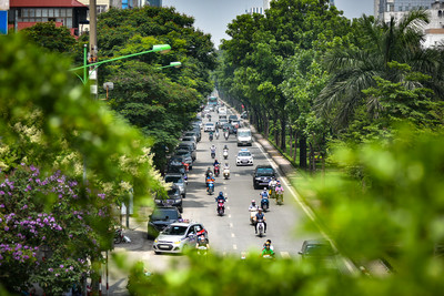 Hà Nội: Tập trung tăng tỷ lệ cây xanh tại các khu đô thị