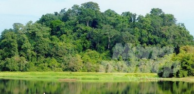 Đồng Nai Phát triển kinh tế rừng bền vững