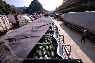 Lạng Sơn tạm dừng tiếp nhận phương tiện chở hoa quả tươi xuất khẩu