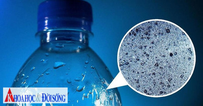 Chai nhựa tái sử dụng có khả năng gây hại cho sức khỏe con người