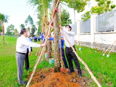 Cần Thơ: Lan tỏa phong trào “Tết trồng cây”