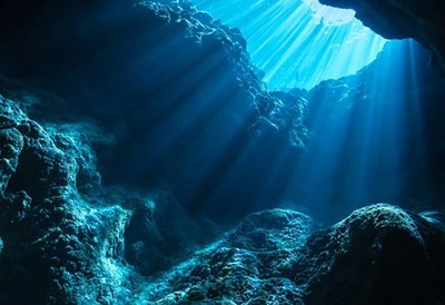 Trầm tích và hệ sinh vật dưới đáy biển giúp chống biến đổi khí hậu