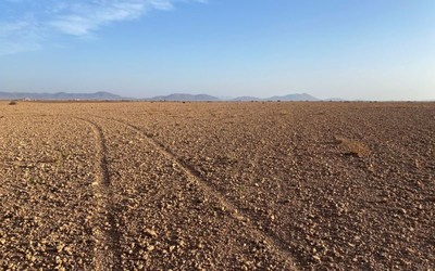 Hạn hán nghiêm trọng gây thiệt hại nặng cho sản xuất nông nghiệp ở Maroc và Argentina