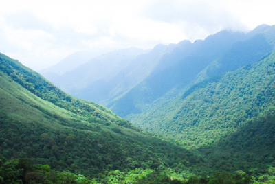 Quảng Ninh: Nhiều giải pháp quyết liệt, đồng bộ để bảo vệ và phát triển rừng