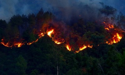 Cháy rừng nghiêm trọng trên toàn cầu có thể tăng 14% vào năm 2030