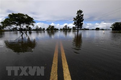 Australia: Ngập lụt do mưa bão tại bang NSW khiến 13 người thiệt mạng