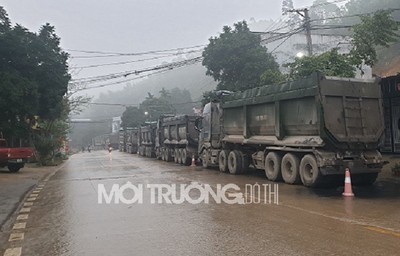 Phú Thọ: Tạm giữ 07 phương tiện chở quặng sắt chưa rõ nguồn gốc