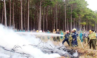 Nhiều khu vực Nam bộ và Tây Nguyên nguy cơ cháy rừng tăng cao