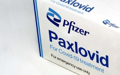 Pfizer triển khai thử nghiệm thuốc paxlovid trị COVID-19 ở trẻ em