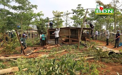 Đắk Nông: Cưỡng chế các trường hợp lấn chiếm đất rừng ven Quốc lộ 28