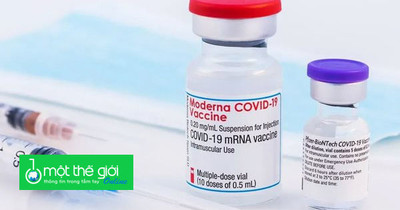 Chủ tịch Moderna: Liều vắc xin COVID-19 thứ 4 chỉ cần thiết cho một số nhóm người