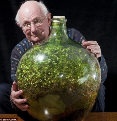 Bí mật thí nghiệm 'hồ cạn khép kín' giúp thực vật 'bất tử' trong 6 thập kỷ