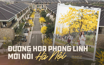 Con đường hoa vàng ở Hà Nội mới nổi 2 ngày đã đông nghịt người kéo đến check-in