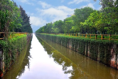 Formosa Hà Tĩnh phủ xanh trên 200 ha đất trong nhà máy
