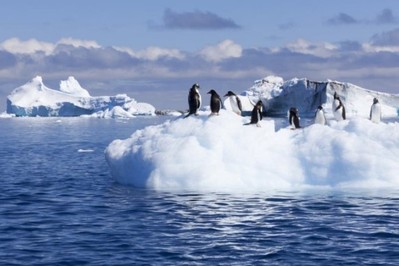 Nam Cực: Nhiệt độ cao kỷ lục -15 độ C