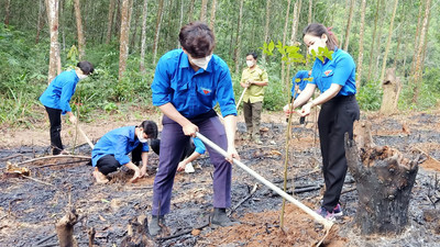 Bắc Giang: Huyện đoàn Sơn Động thi công công trình thanh niên “Đường băng xanh cản lửa”
