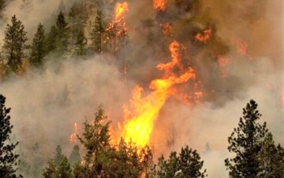 Carbon nâu từ các vụ cháy rừng làm Trái đất nóng lên nhanh hơn