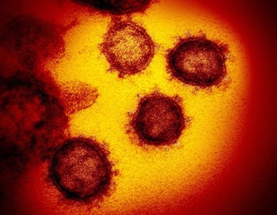 Virus corona nhảy vọt về khả năng đột biến