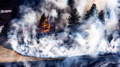 Mỹ: Cháy rừng tại bang Colorado, hơn 1.600 người phải đi sơ tán