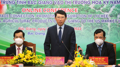 Bắc Giang: Tăng cường hợp tác, đưa vải thiều vào thị trường Hoa Kỳ