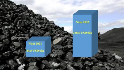 Việt Nam nhập khẩu gần 5,1 triệu tấn than trong Quý 1/2022