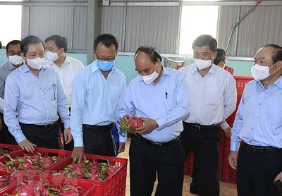 Chủ tịch nước thăm mô hình hợp tác xã tiêu biểu của tỉnh Tiền Giang