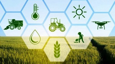 Thúc đẩy phát triển nông nghệp bền vững với đối mới, sáng tạo về khoa học, công nghệ và thị trường