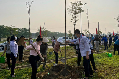 Hà Tĩnh: 300 giáo viên, học sinh trồng cây xây dựng đô thị xanh