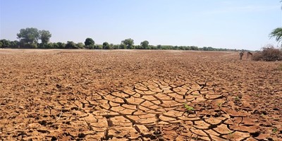 Vùng Sừng châu Phi hứng chịu hạn hán tồi tệ nhất trong nhiều thập kỷ