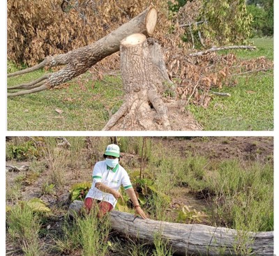 Đắk Lắk: Gần 400 ha rừng bị tàn phá!
