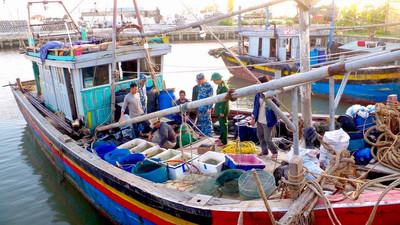 Ninh Bình: Bắt giữ 5 tàu cá khai thác thủy sản trái phép