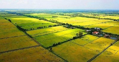 Chuyển 69 ha đất trồng lúa làm hai khu đô thị tại TP Bạc Liêu