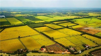 Chính phủ chấp thuận cho Nam Định chuyển 199 ha đất lúa để làm đường