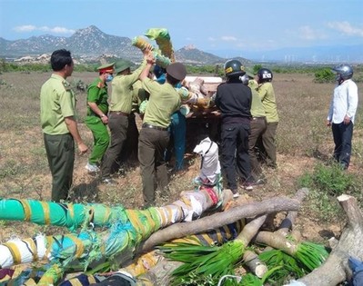 Ninh Thuận: Điều tra nhóm đối tượng tấn công lực lượng bảo vệ rừng