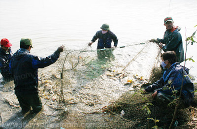 Thanh Hóa: Đảm bảo vệ sinh môi trường trong nuôi trồng thủy sản
