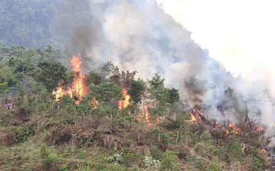 Trạm Tấu (Yên Bái): Kiểm soát chặt chẽ việc đốt phá rừng làm nương rẫy ngăn ngừa cháy rừng
