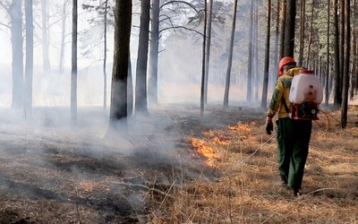 Nga: Cháy rừng nghiêm trọng ở Siberia