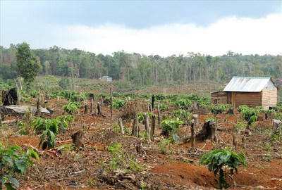Lập đoàn giám sát về sử dụng đất thu hồi từ các nông, lâm trường tại Đắk Nông