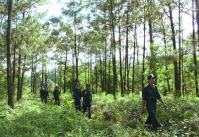 Khánh Hòa: Kéo dài phương án giao khoán bảo vệ rừng